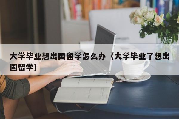 大学毕业想出国留学怎么办（大学毕业了想出国留学）