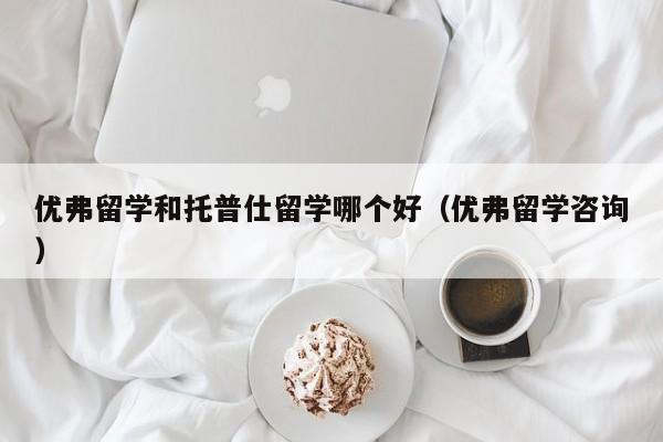 优弗留学和托普仕留学哪个好（优弗留学咨询）