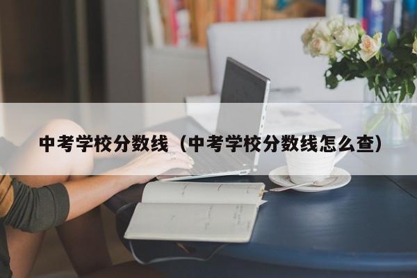 中考学校分数线（中考学校分数线怎么查）