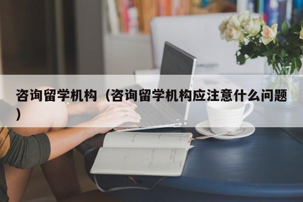 咨询留学机构（咨询留学机构应注意什么问题）