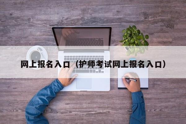 网上报名入口（护师考试网上报名入口）