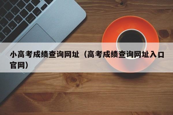 小高考成绩查询网址（高考成绩查询网址入口官网）