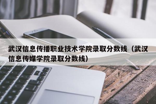 武汉信息传播职业技术学院录取分数线（武汉信息传媒学院录取分数线）