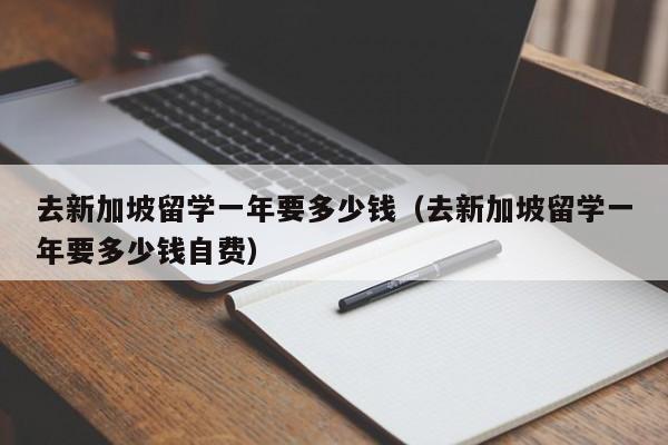 去新加坡留学一年要多少钱（去新加坡留学一年要多少钱自费）