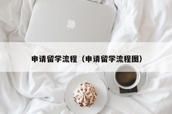 申请留学流程（申请留学流程图）