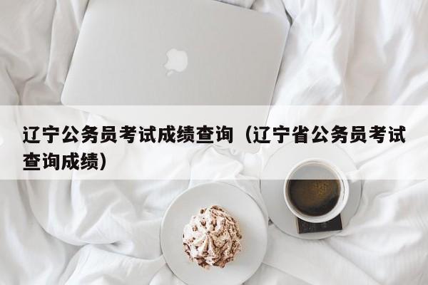 辽宁公务员考试成绩查询（辽宁省公务员考试查询成绩）